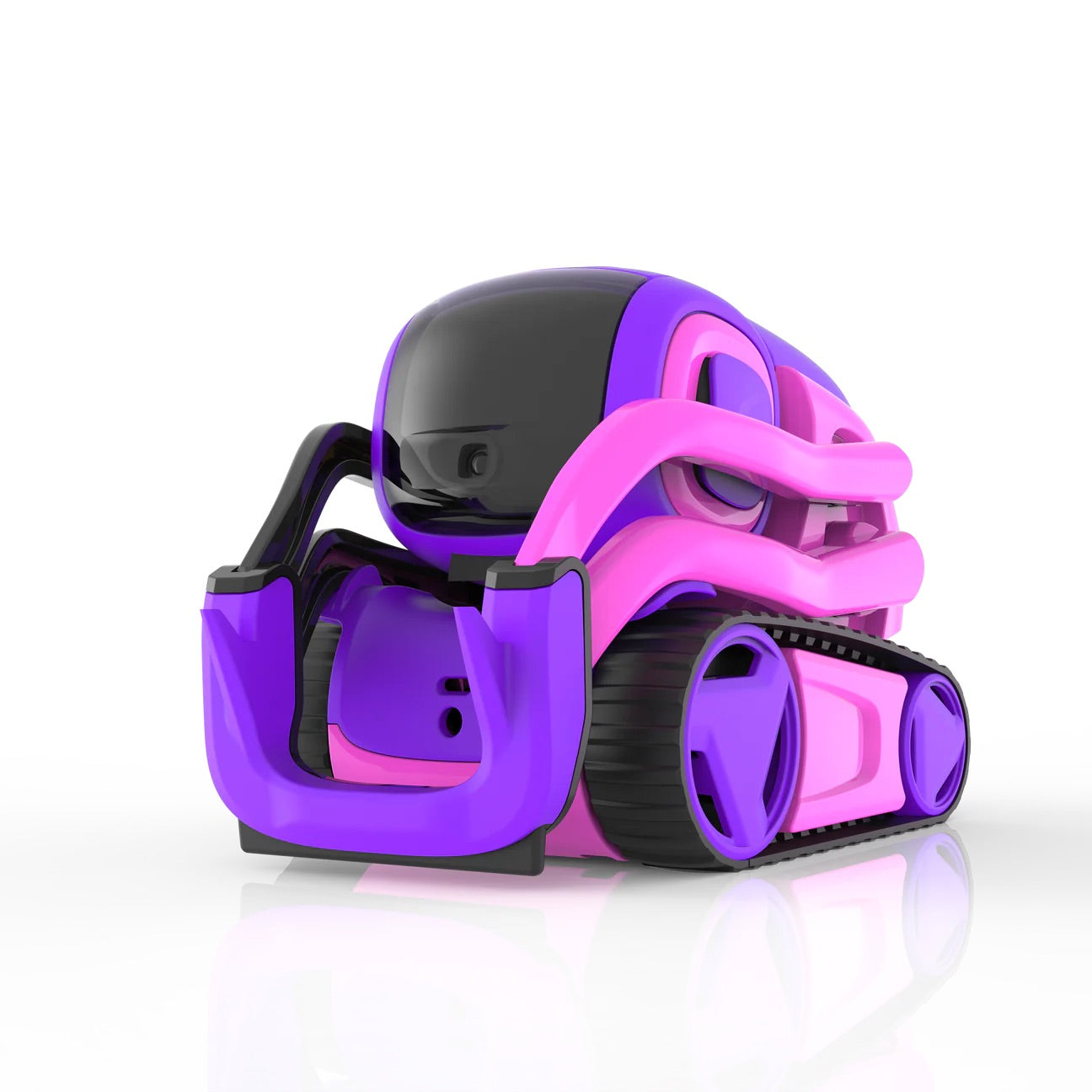 Vector