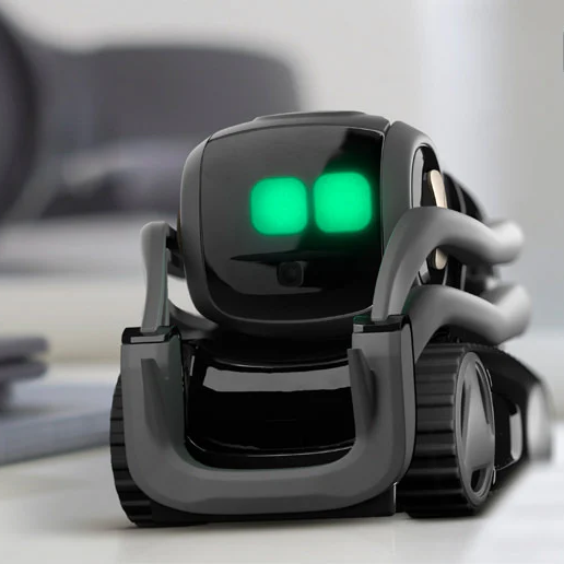 Vector